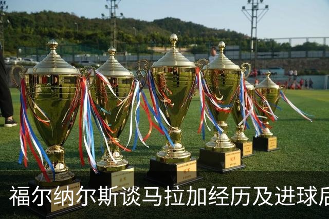 福尔纳尔斯谈马拉加经历及进球后的感受